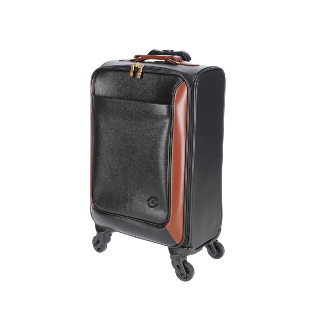Hard Shell Trolley Bags Premium Protection for Clothes & Essentials